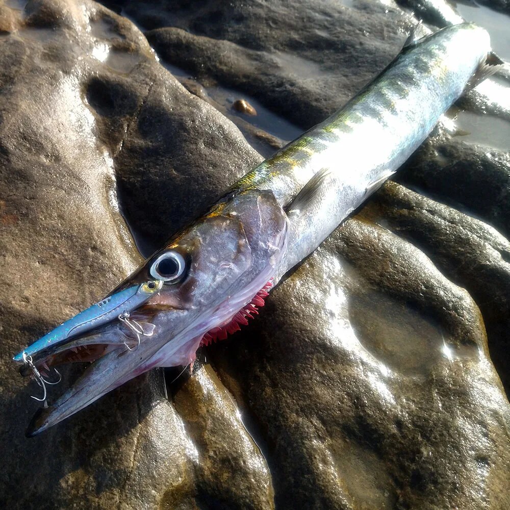 GOBAIT VIB Fishing Lure 20g 25 - огляд і ціна Fishing Hook Treble